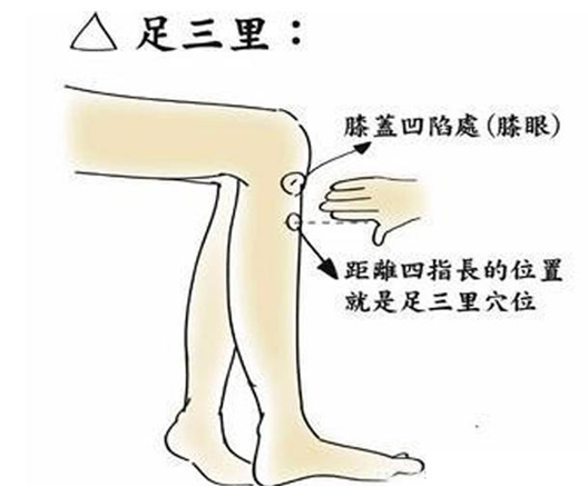 足三里