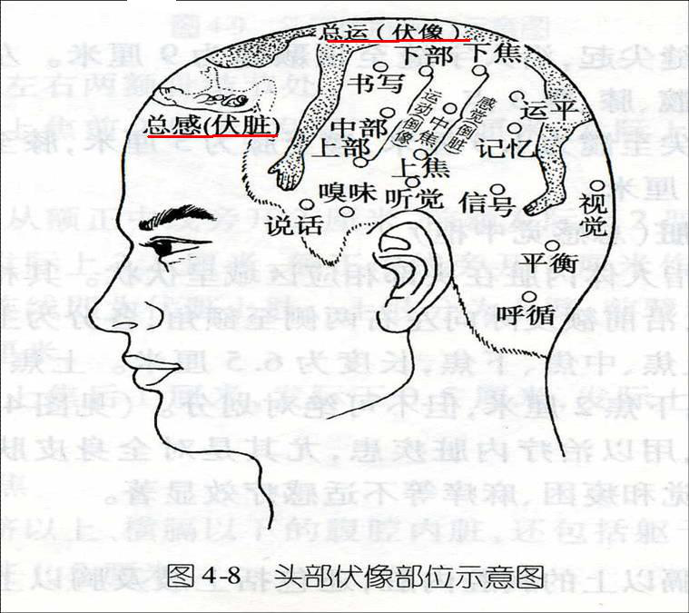 伏象