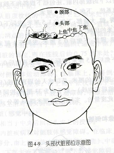 伏脏
