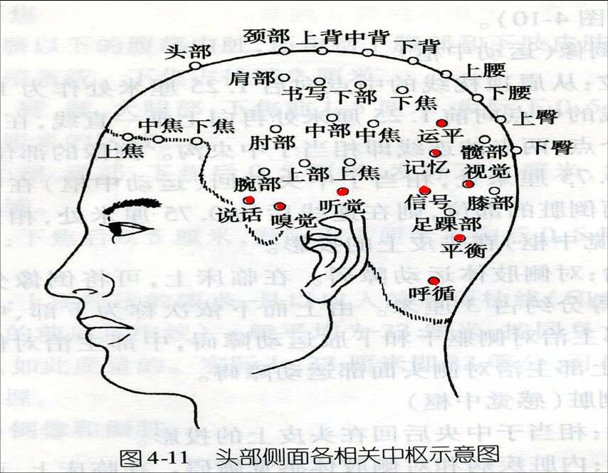 各区1