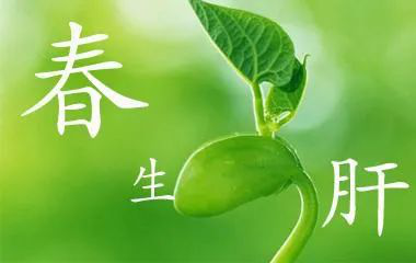 图片7
